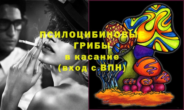шишки Баксан