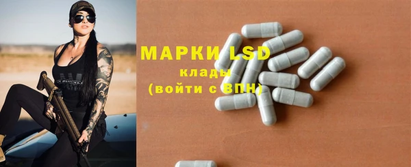 шишки Баксан