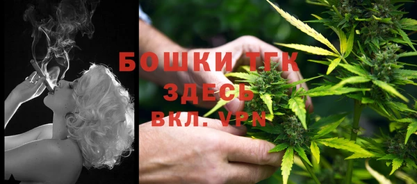 индика Балахна