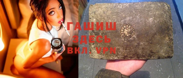 индика Балахна
