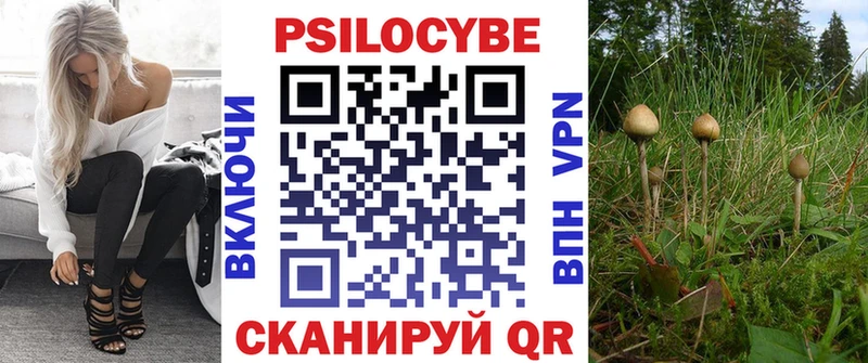 Псилоцибиновые грибы GOLDEN TEACHER  Новозыбков 